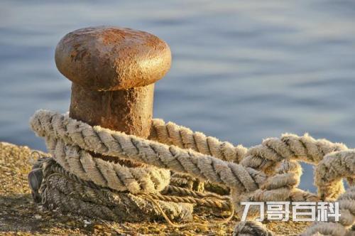 出海船员一般工资多少（出海捕鱼船员真实收入）